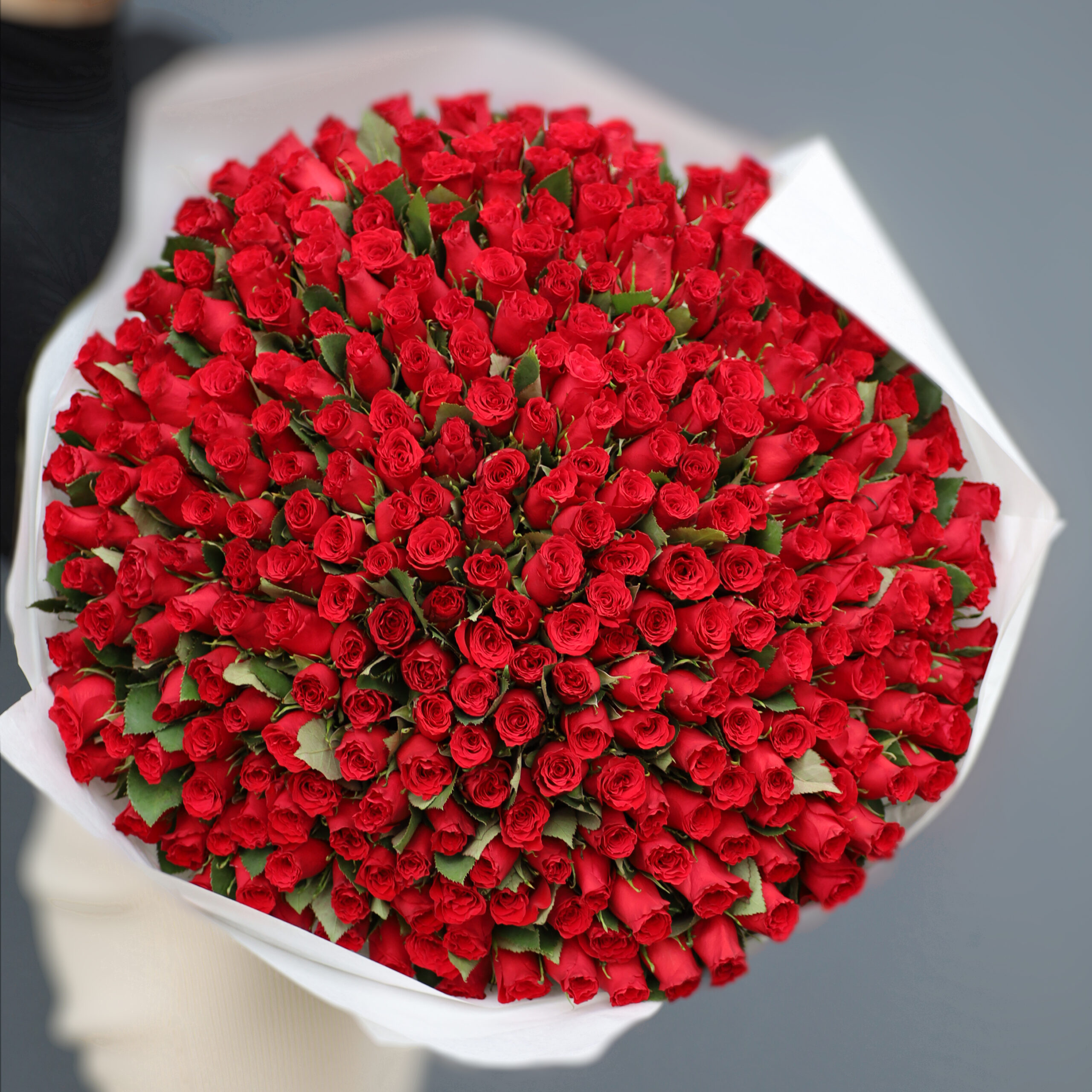 Bouquet of 301 red roses